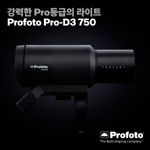 [렌탈] [PROFOTO] 프로포토(정품) Pro-D3 750
